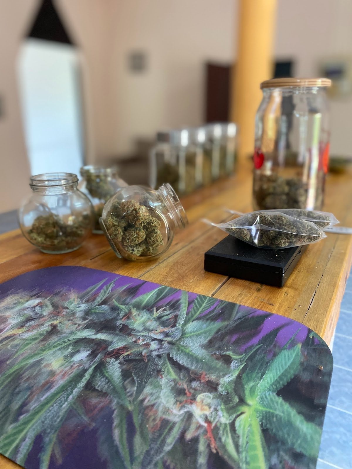 Triple Cannabis Farm & Coffeshop
