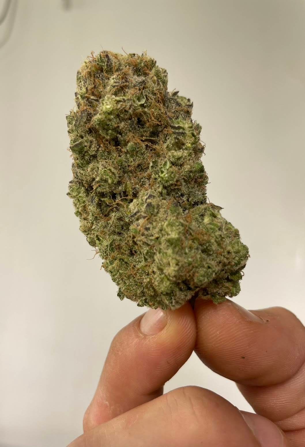 MCM Cannabis Pa Daet