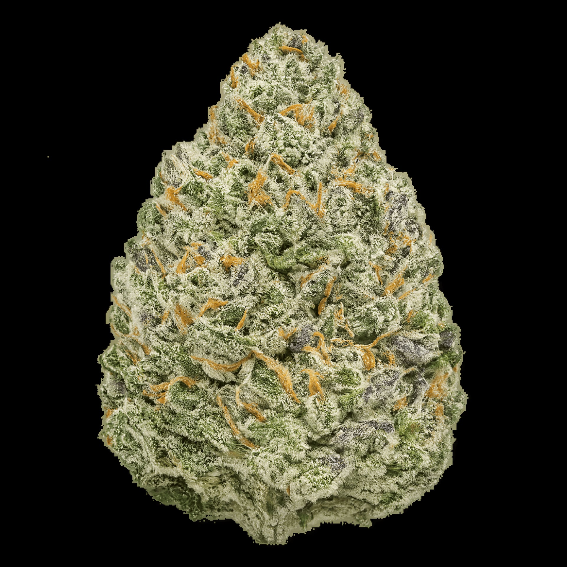 HPS High Plants Saale e.V