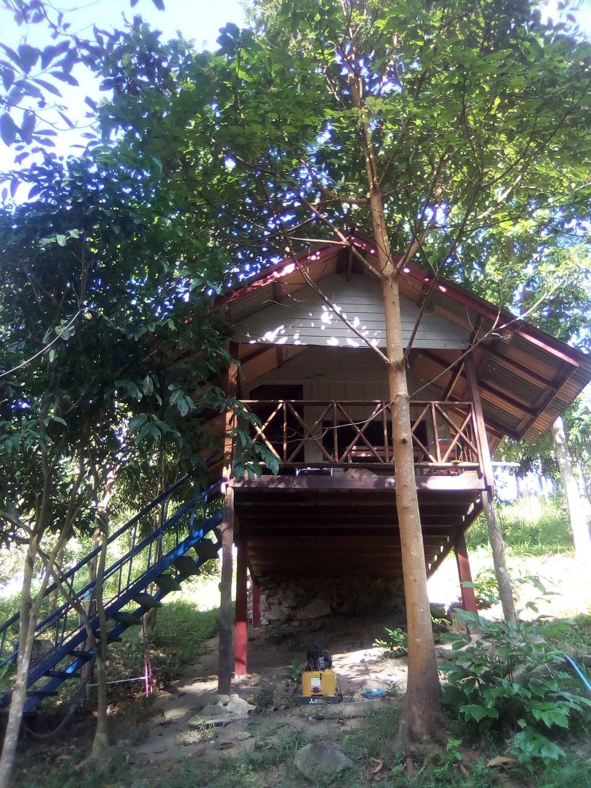 Tarzan Bar
