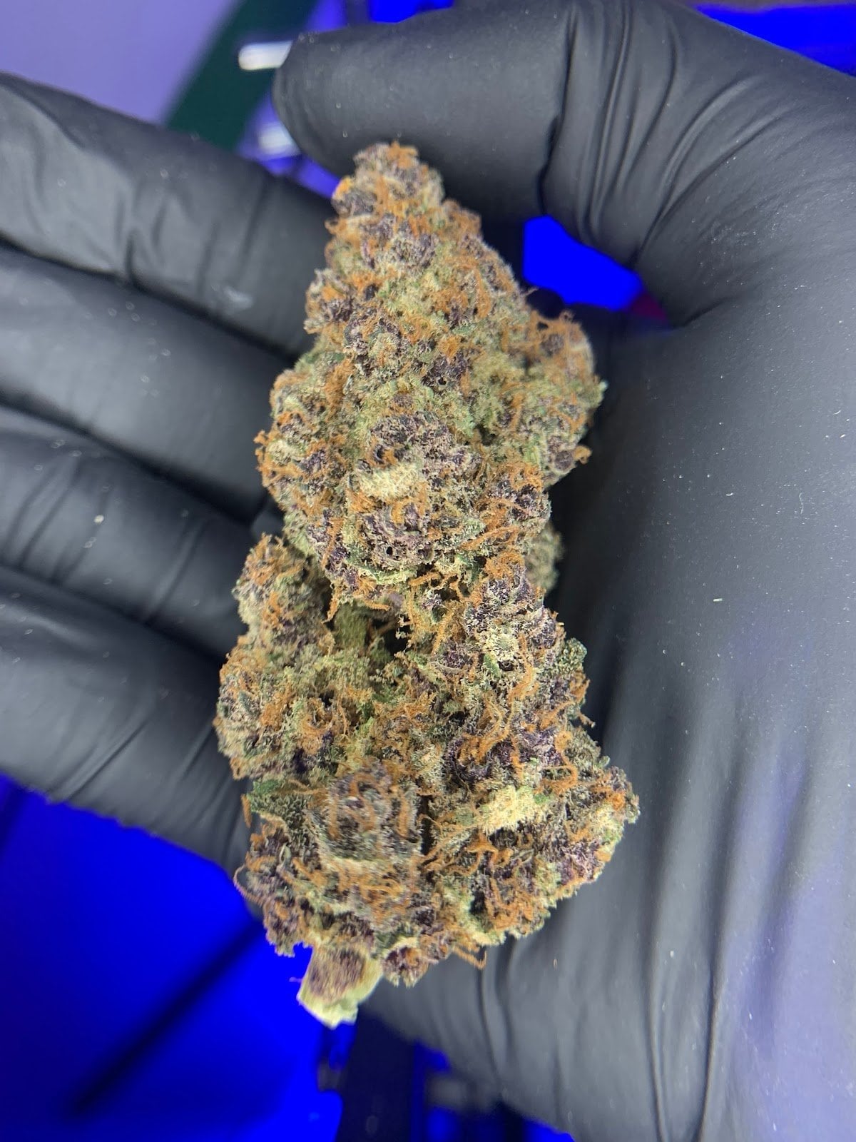 Medical Cannabis Clinic patong2-Ananta Cannabis Patong2