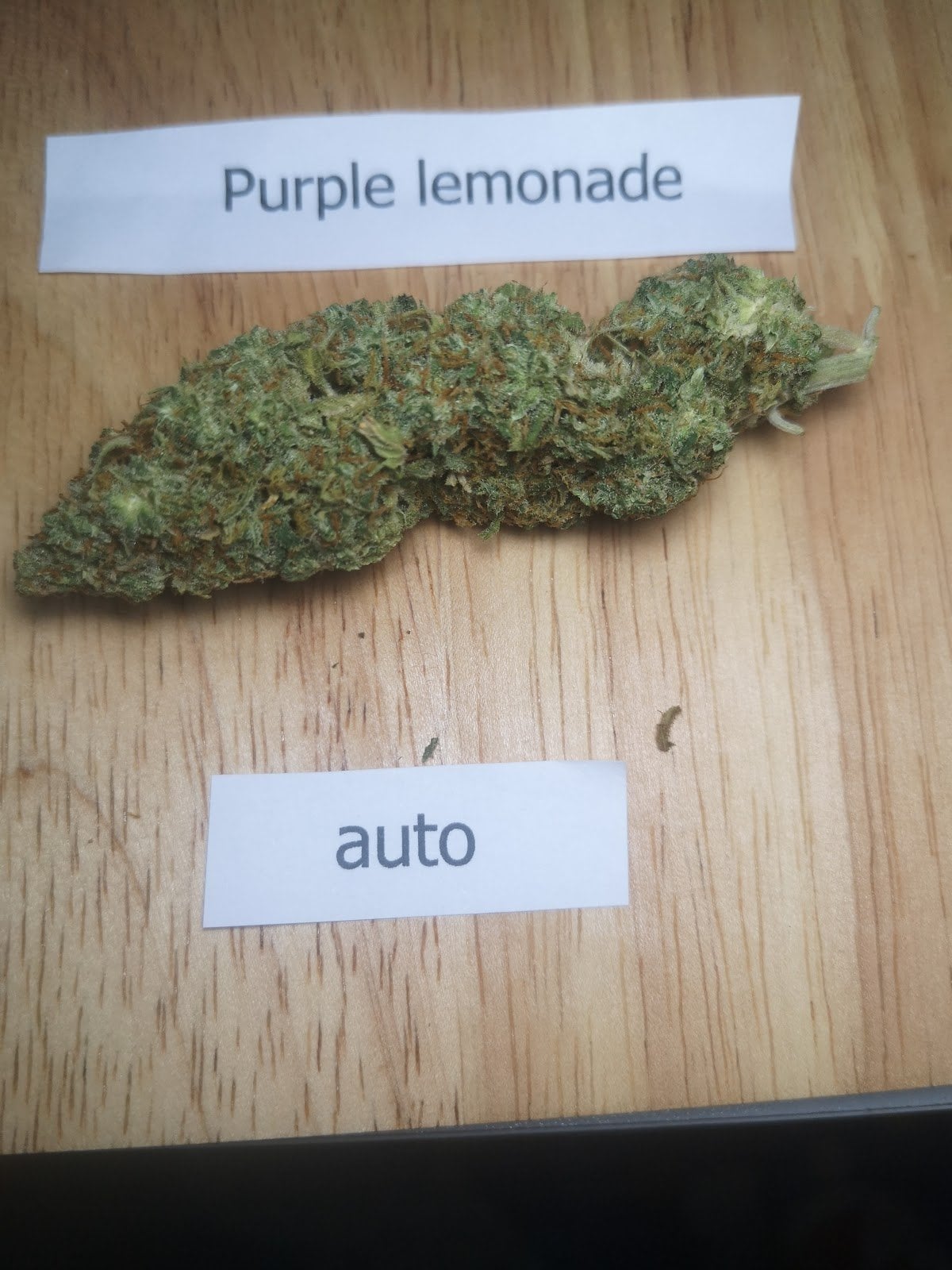 The Khoi Samui Cannabis