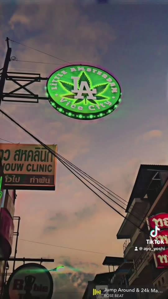 Vice City Weed- Little Amsterdam