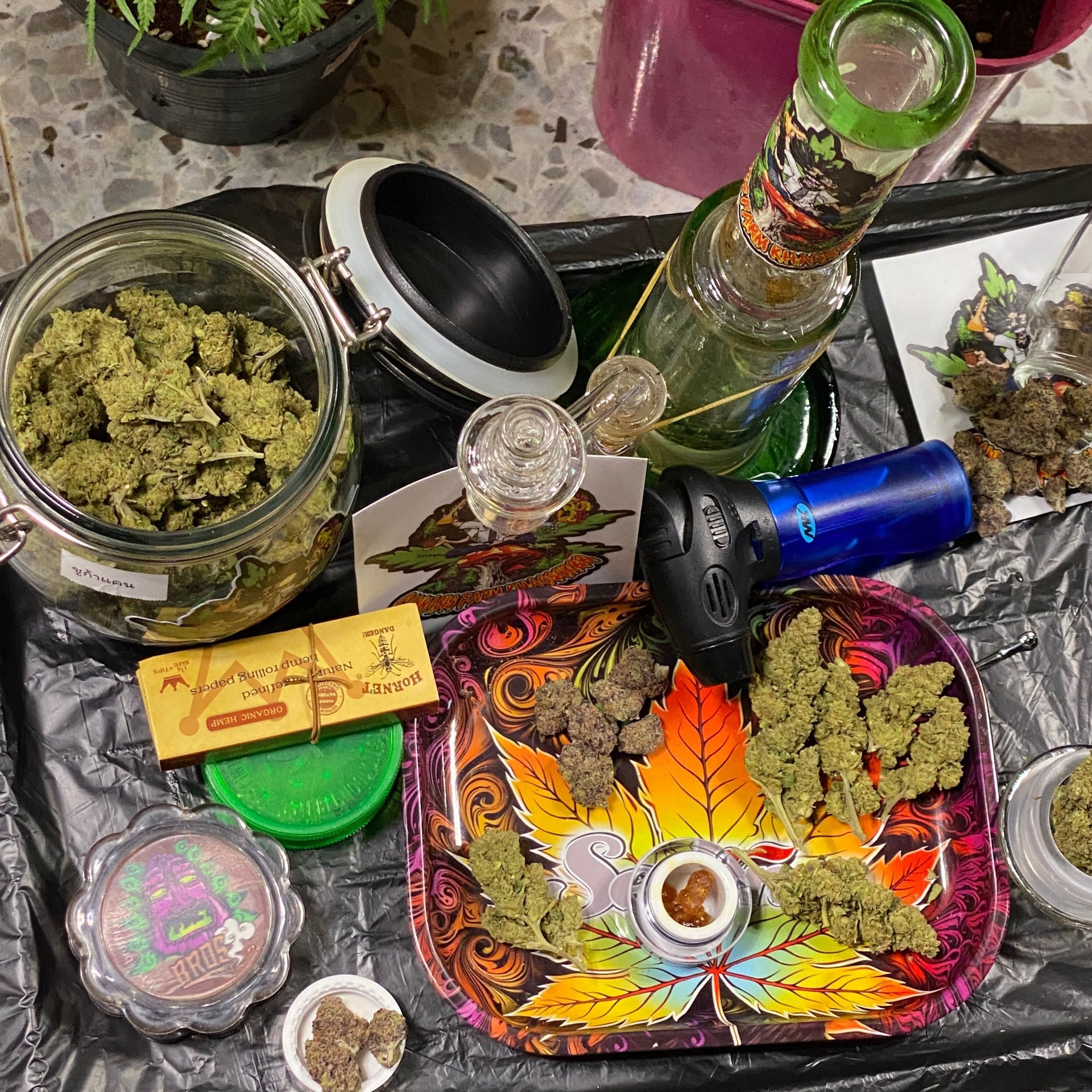 Cannabis Farm KhaoSok88