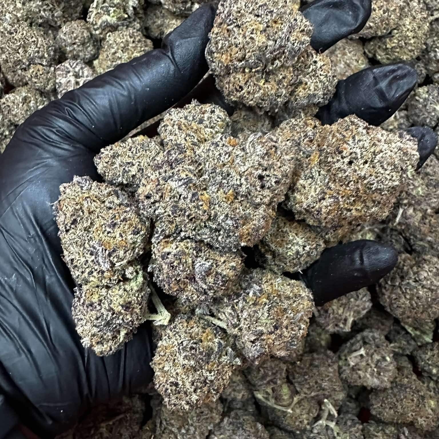 Noricannabisway