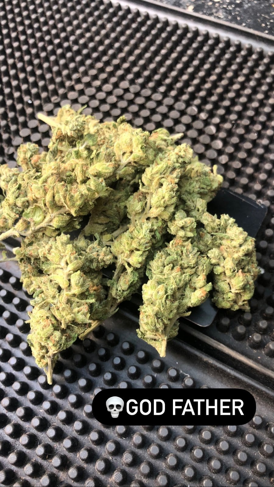Mary Jane CNX