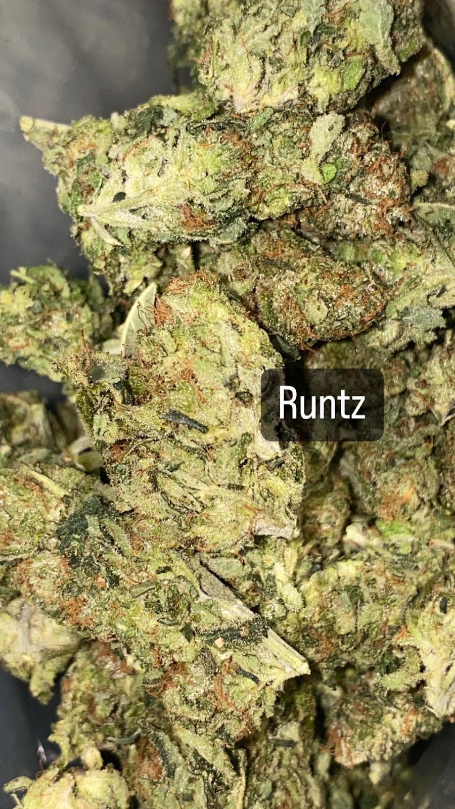 Thai Bud By Good Man Rangsit