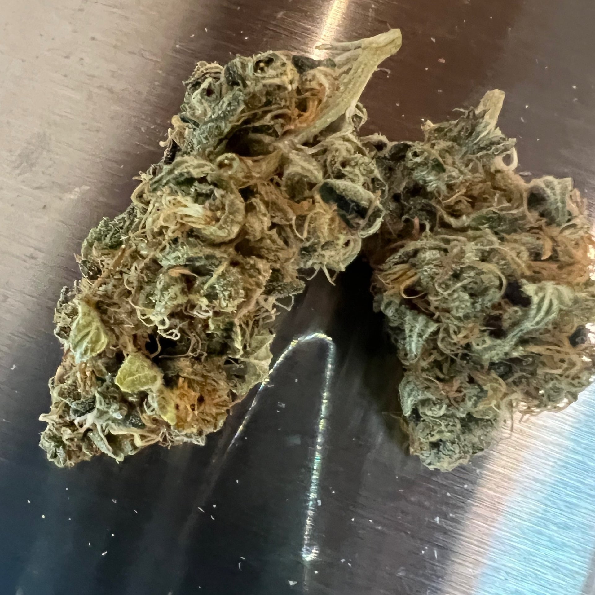 Muang420 Canabis