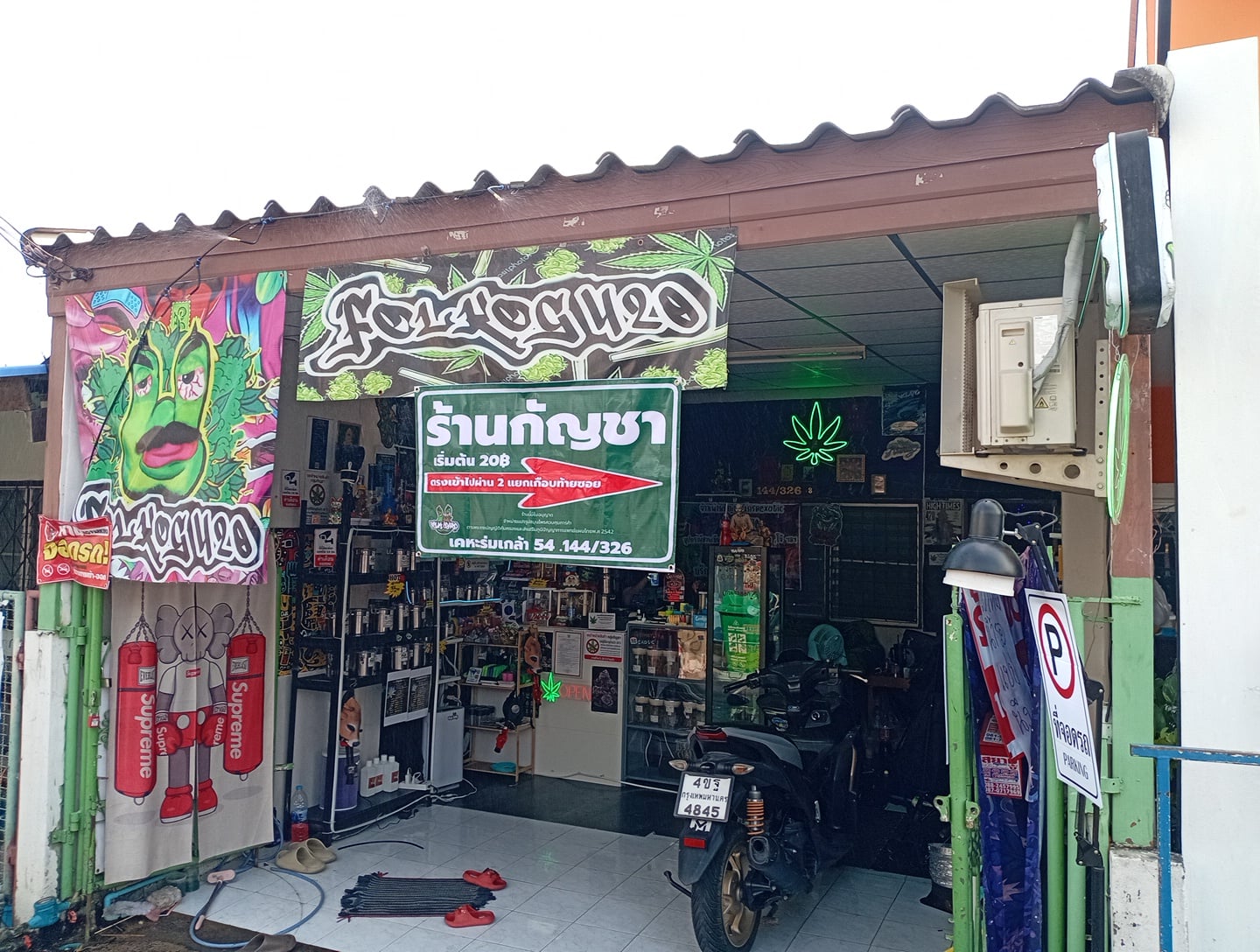 CannabisShop Folk OG