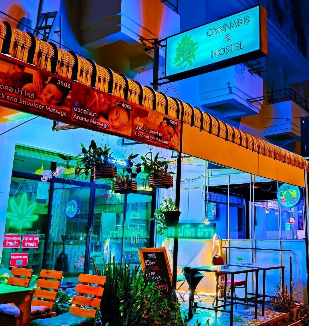 Cannabis & Hostel