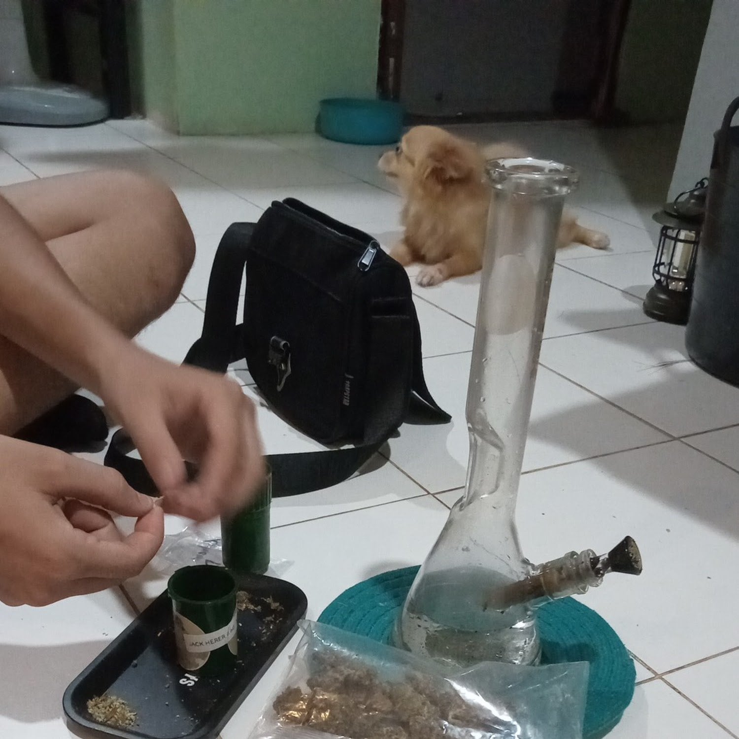 Weed House