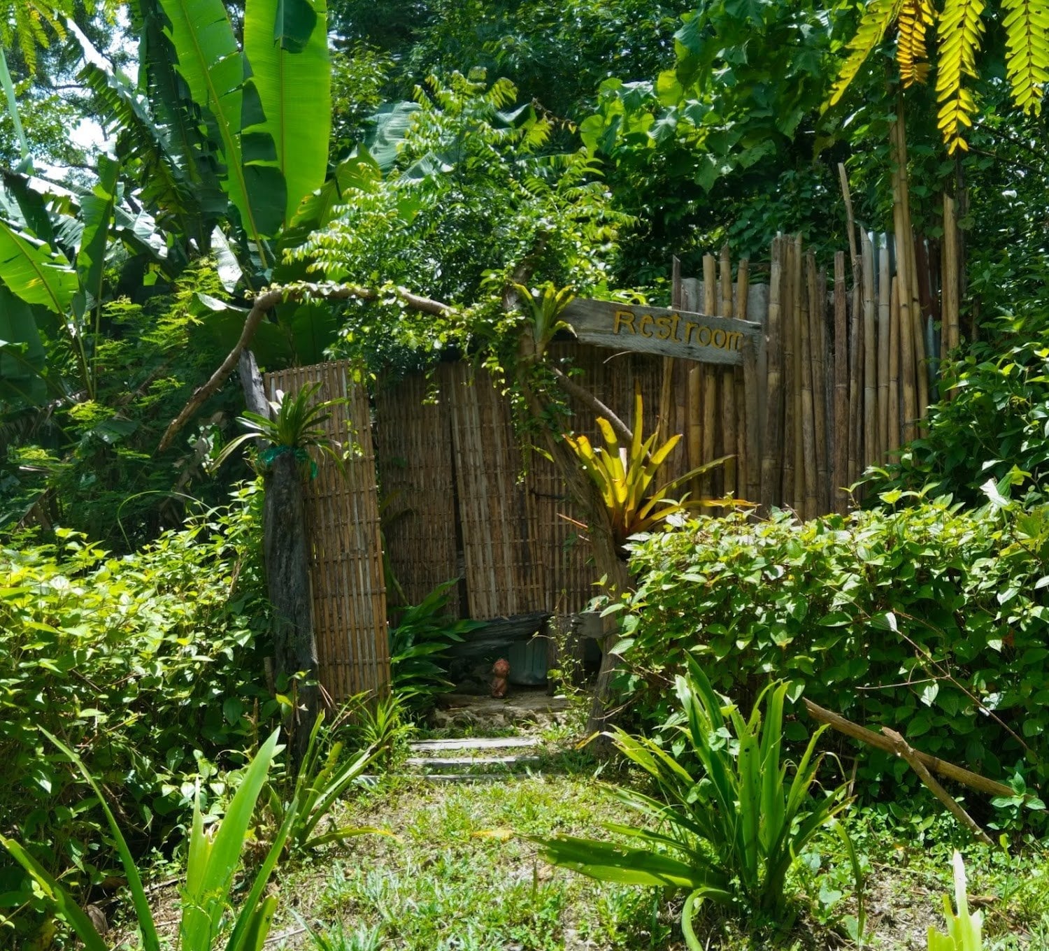 Doi Suea Viewpoint Weed Cafe'