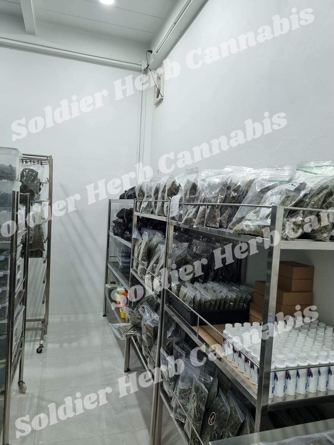 Soldier Herb Cannabis