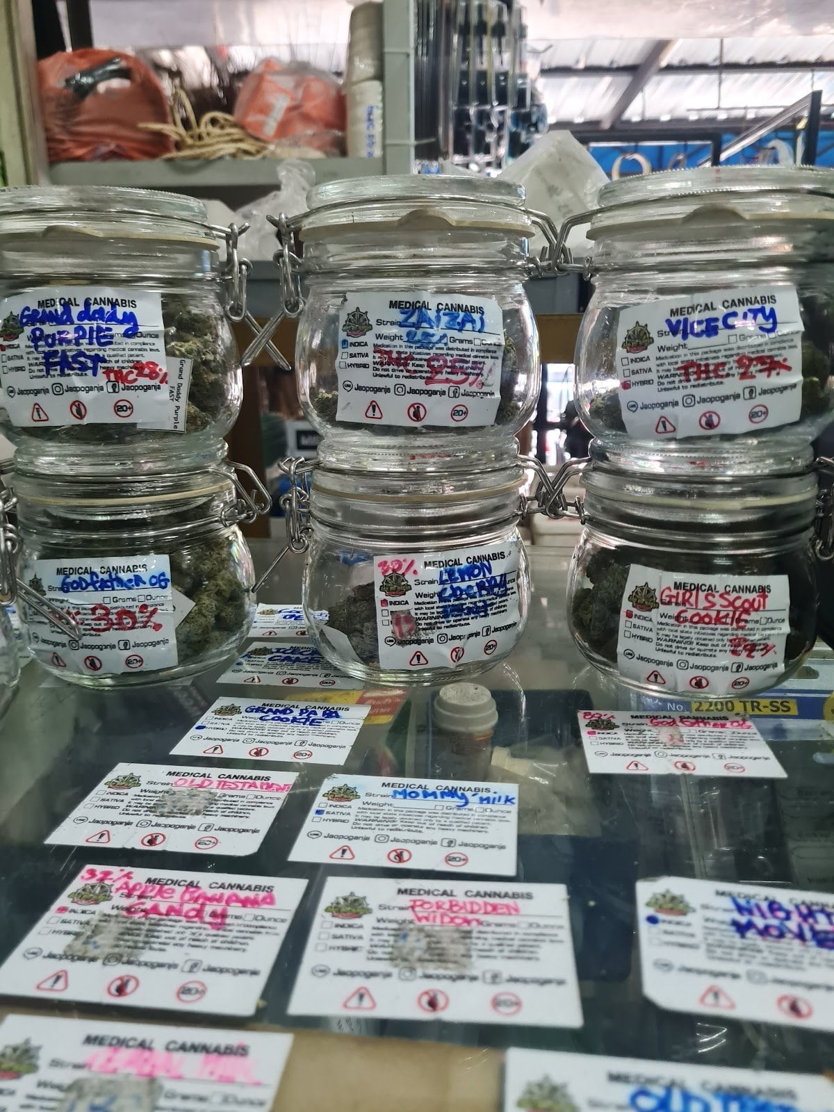 Jaopoganja BKK