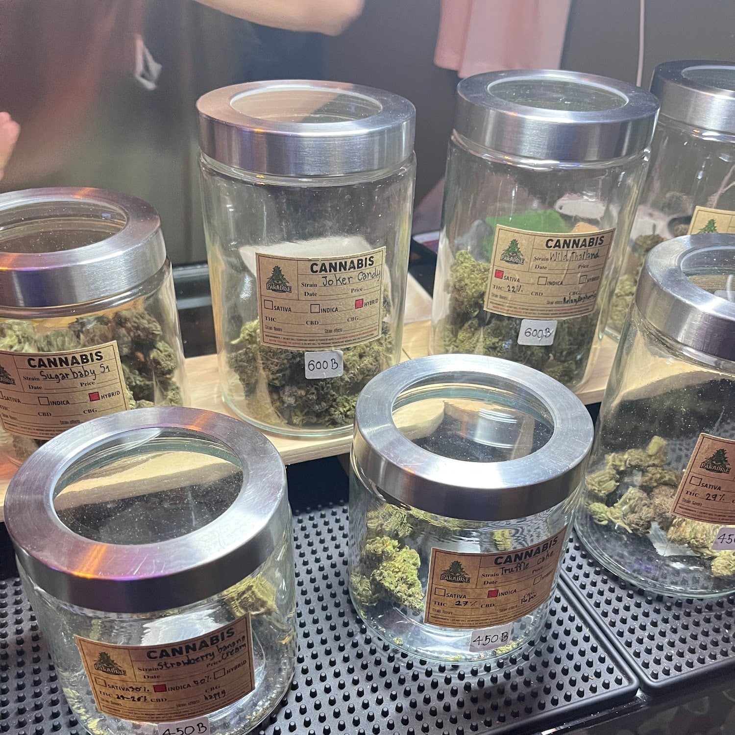 Paradise Cannabis Weed Marijuanas