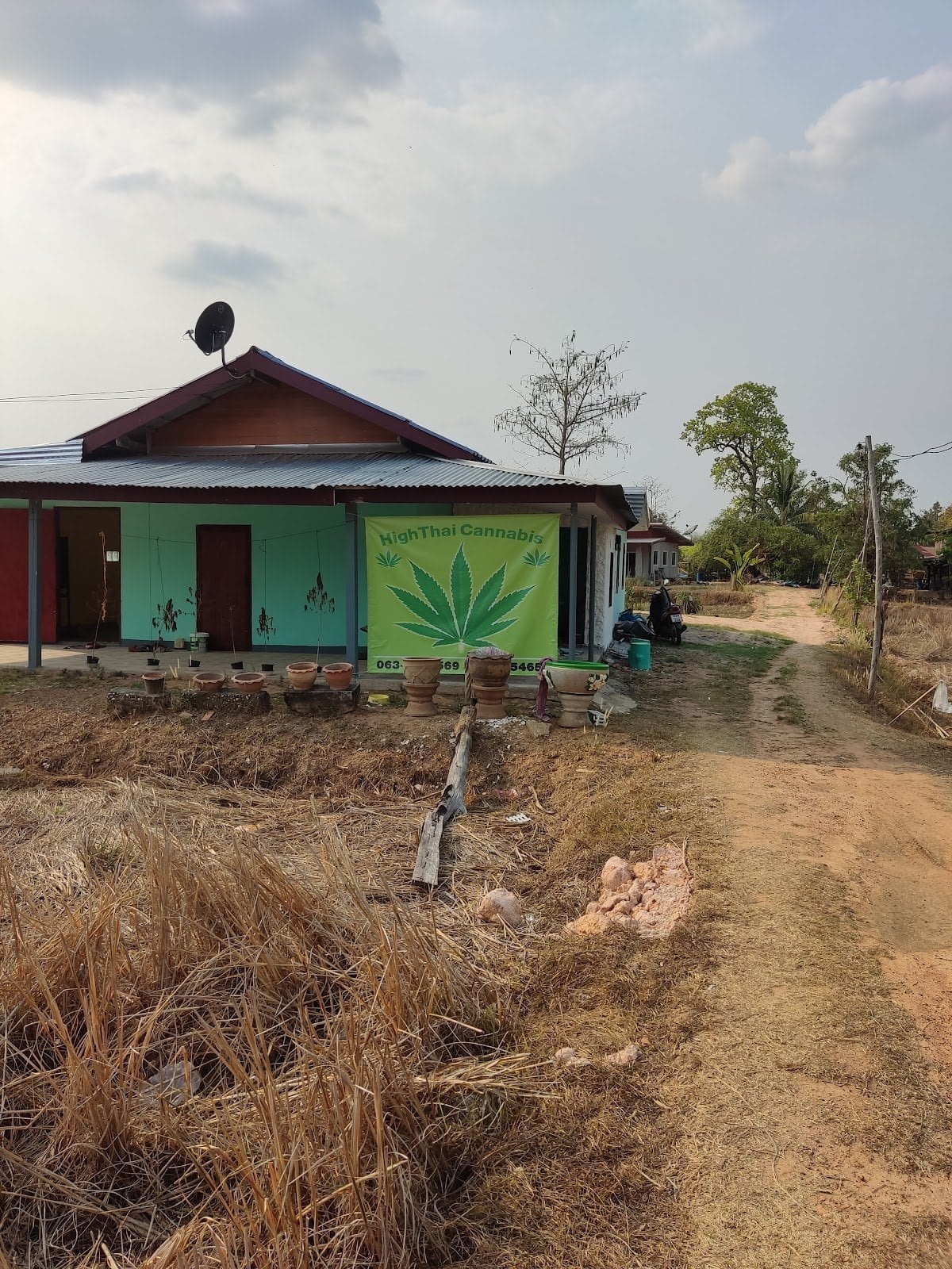 HighThai Cannabis