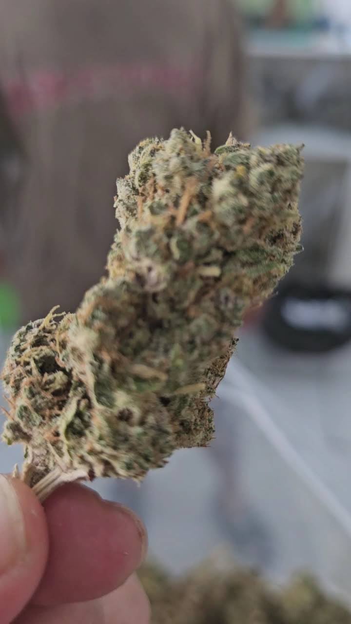OG.MOON Bang Na
