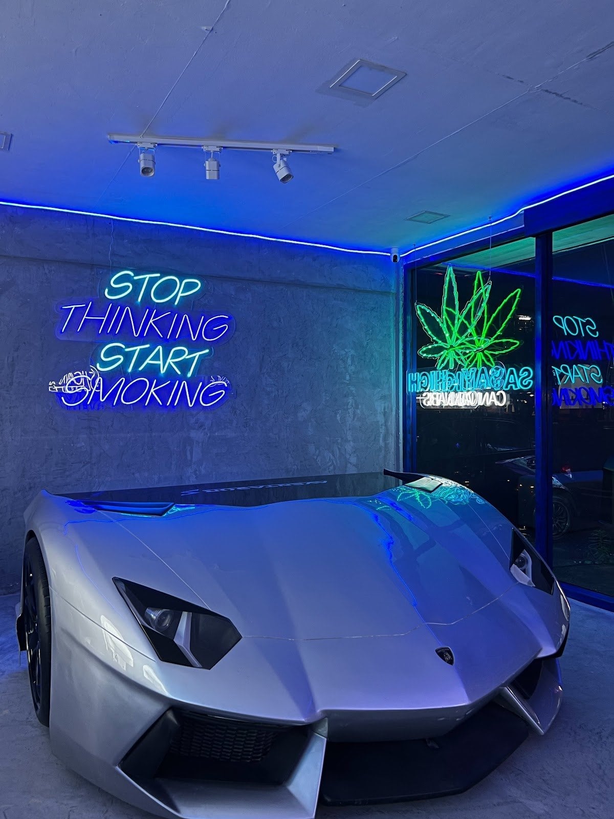Sayhigh Cannabis Future Klong 1