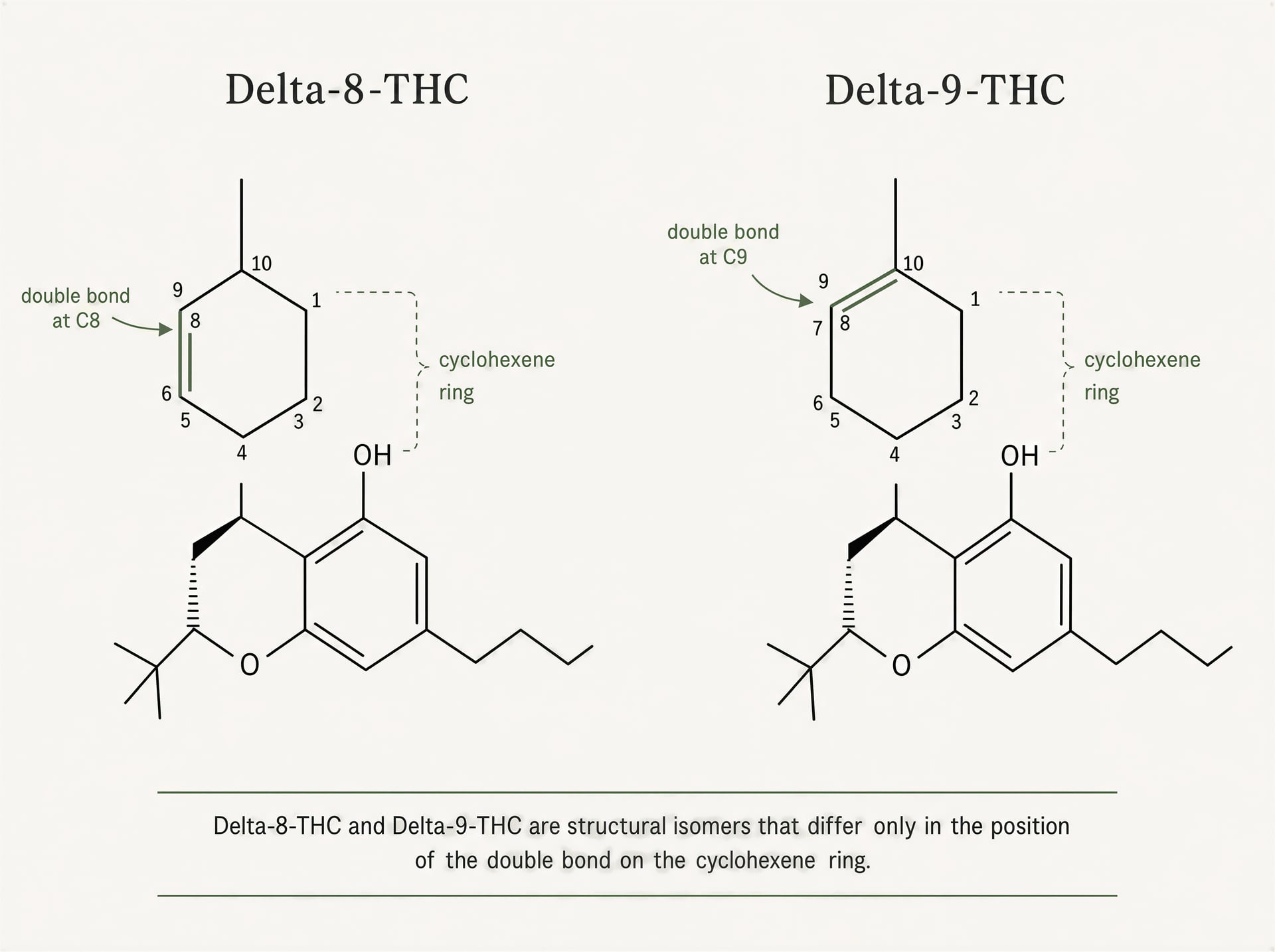 Diagram comparing delta-8-THC and delta-9-THC with the double bond highlighted at C8 and C9.