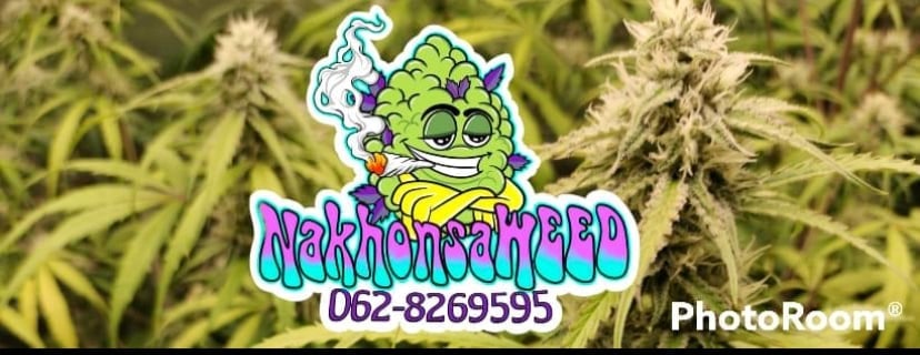 NakhonsaWEED