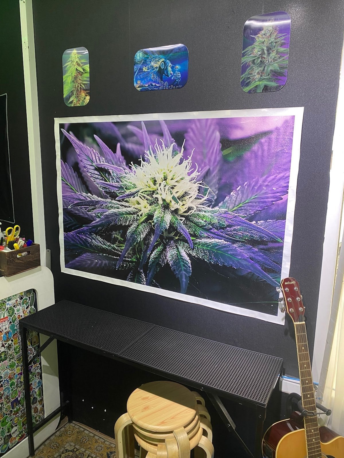 Panich Cannabis