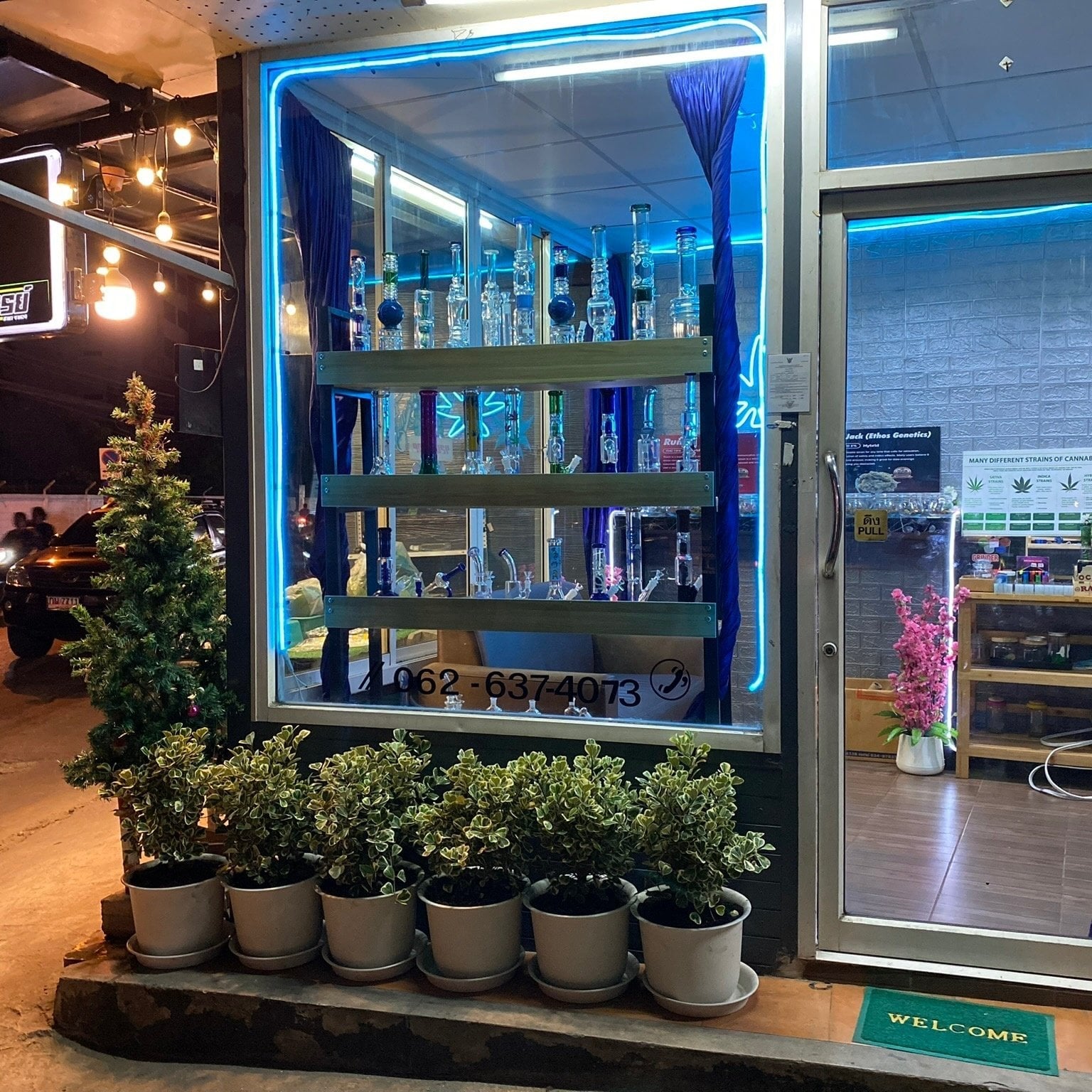 Wonder Plant Ramkhamhaeng 24