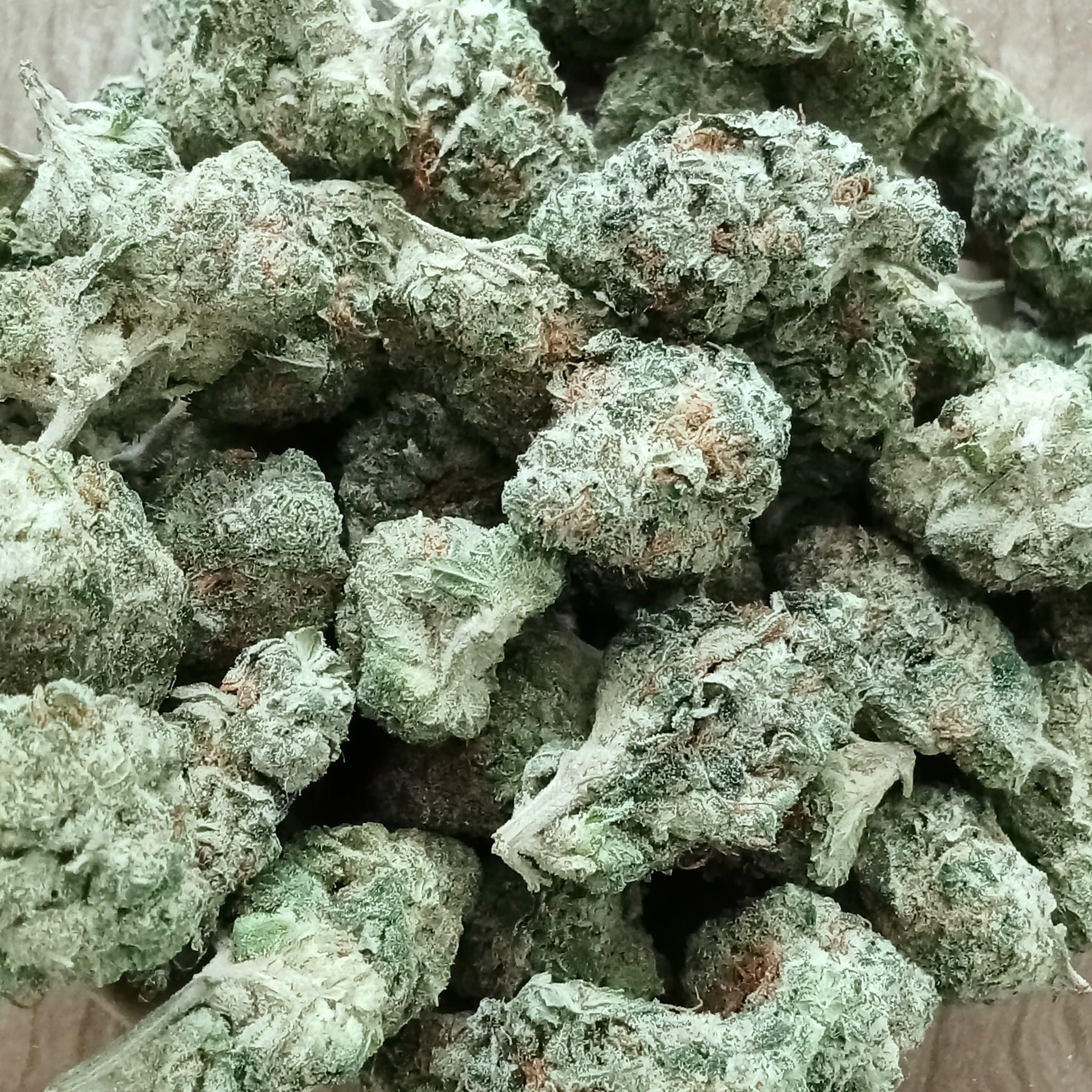 Cannabis Sikhio