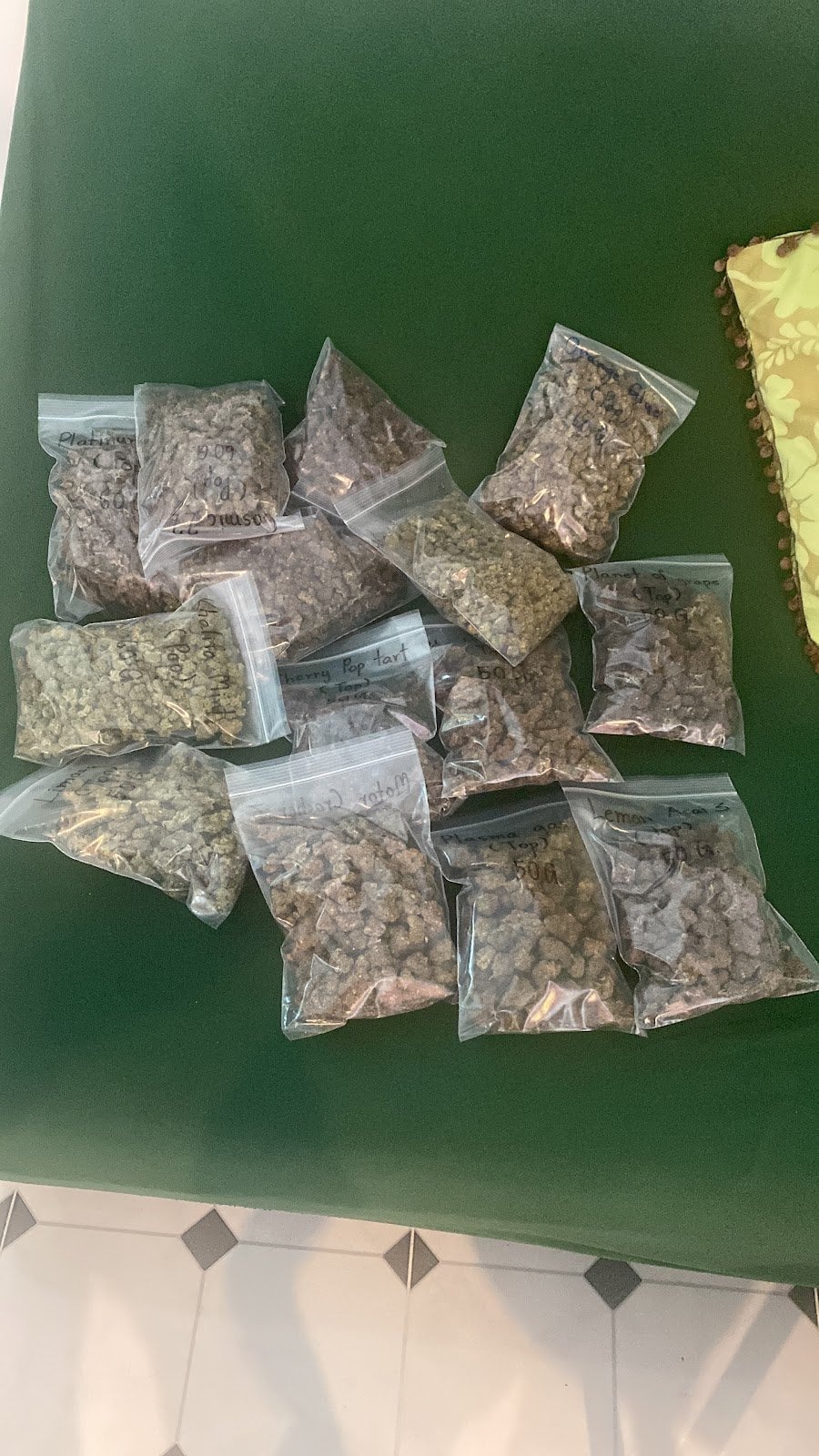 Sea Weed