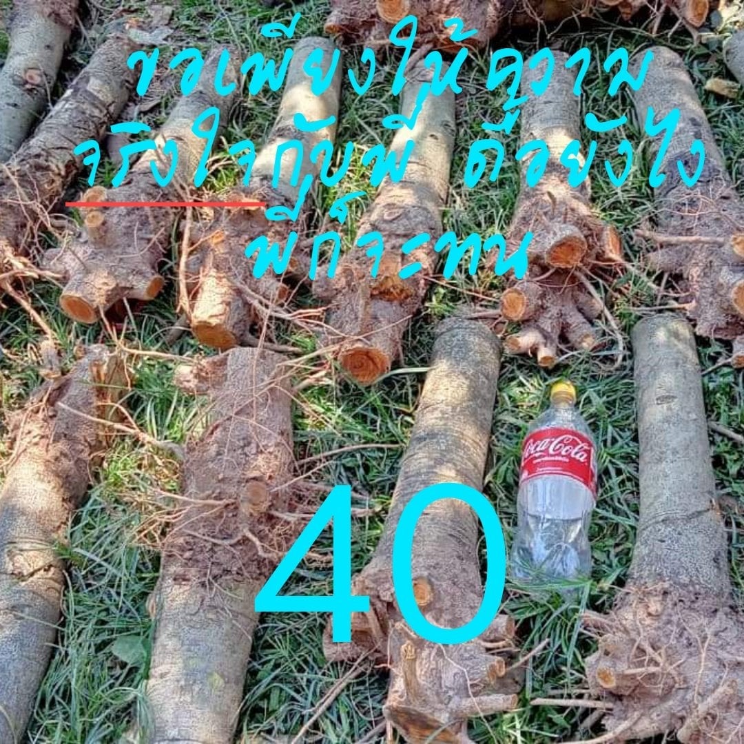 Club 10208