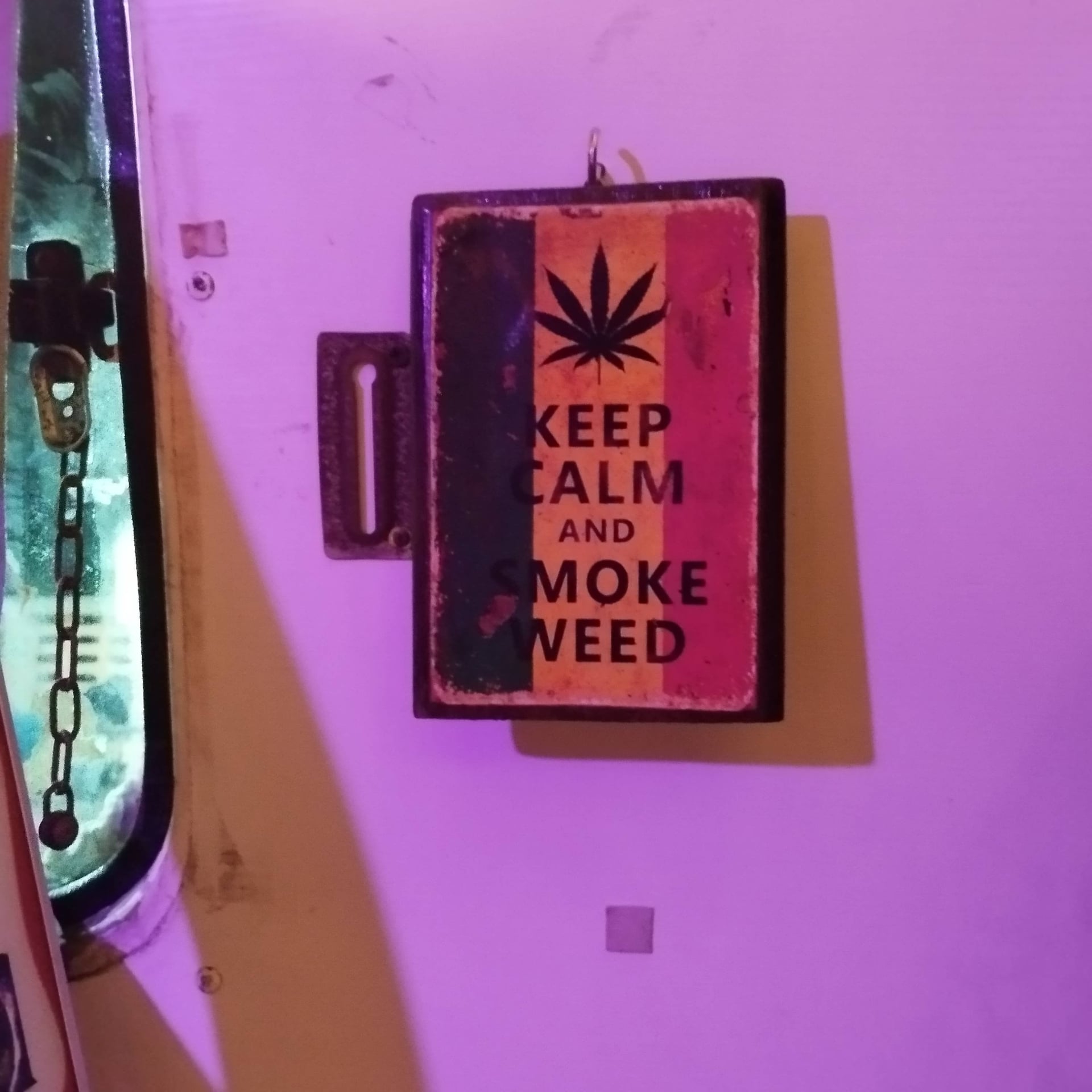 Weeds Camp