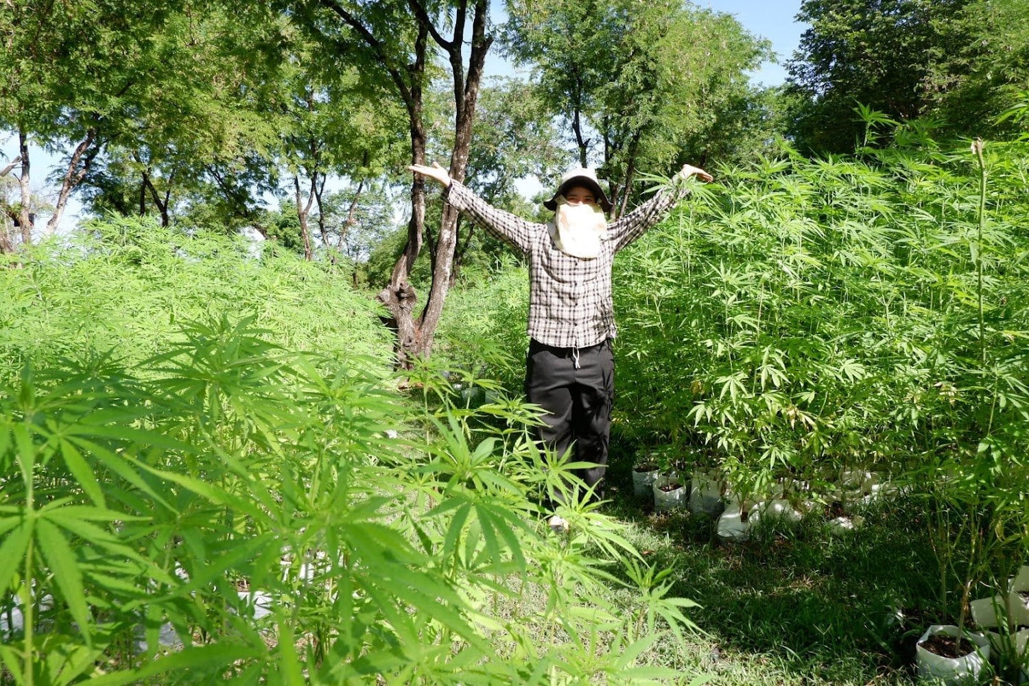 Hemphub Farm
