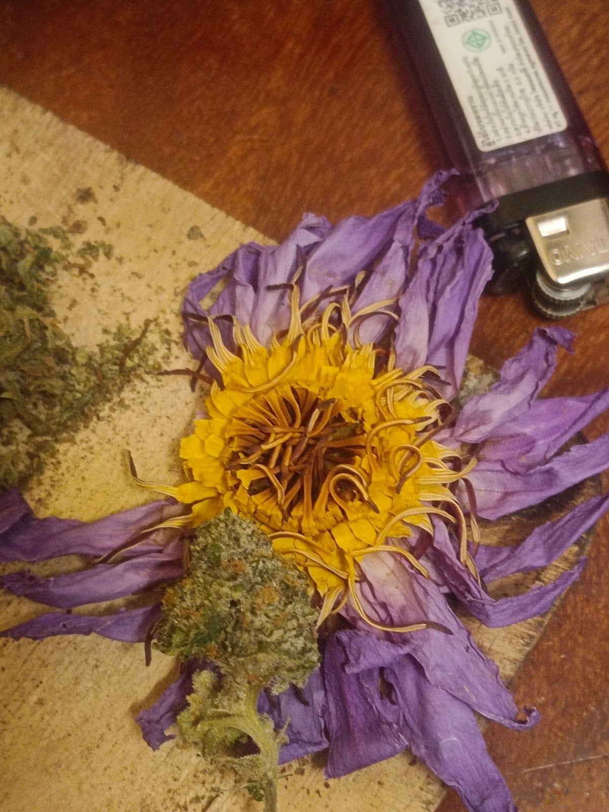 Nighthowit420