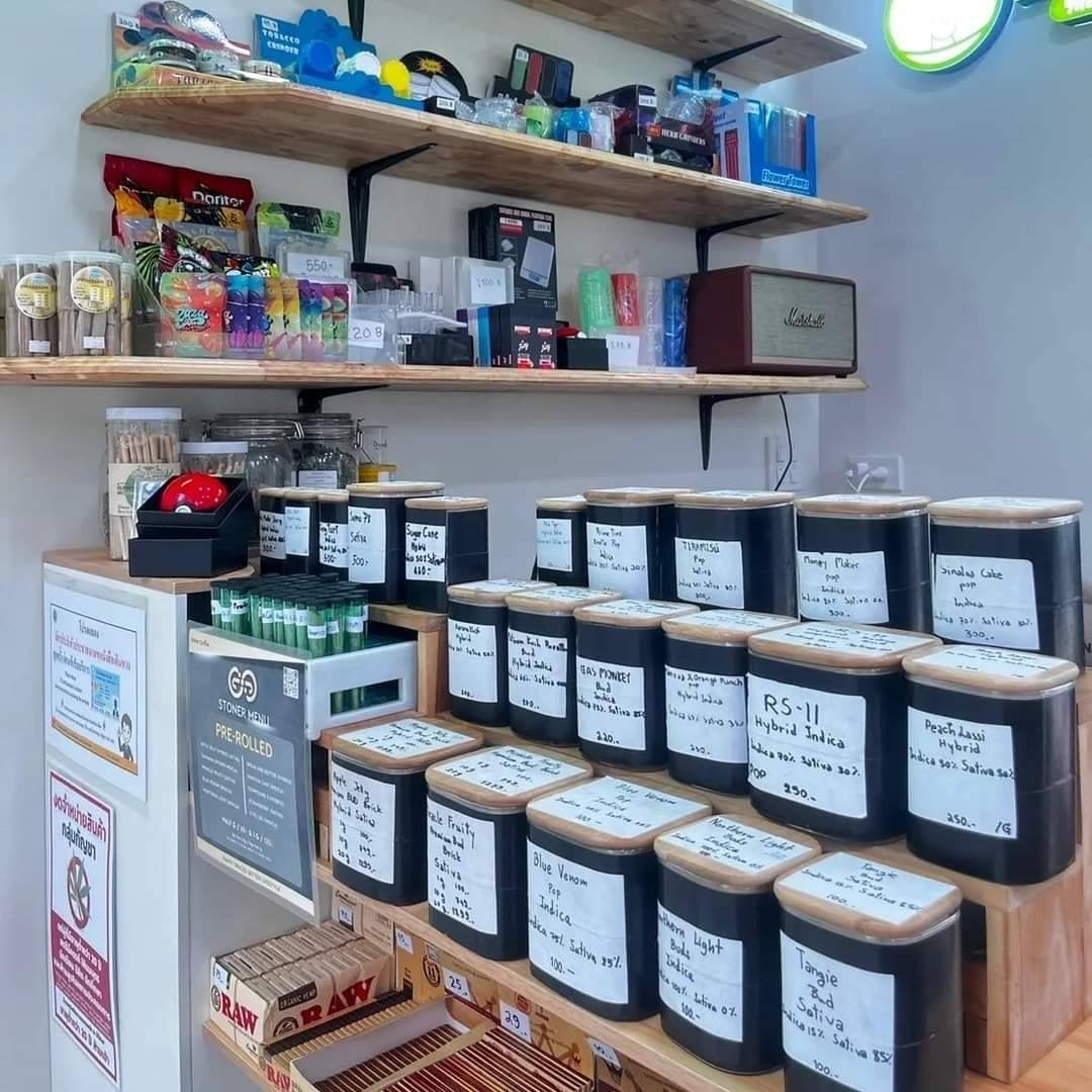 Budrena Medical Cannabis Dispensary RK81 Weed Ganja Marijuana C N Sa By