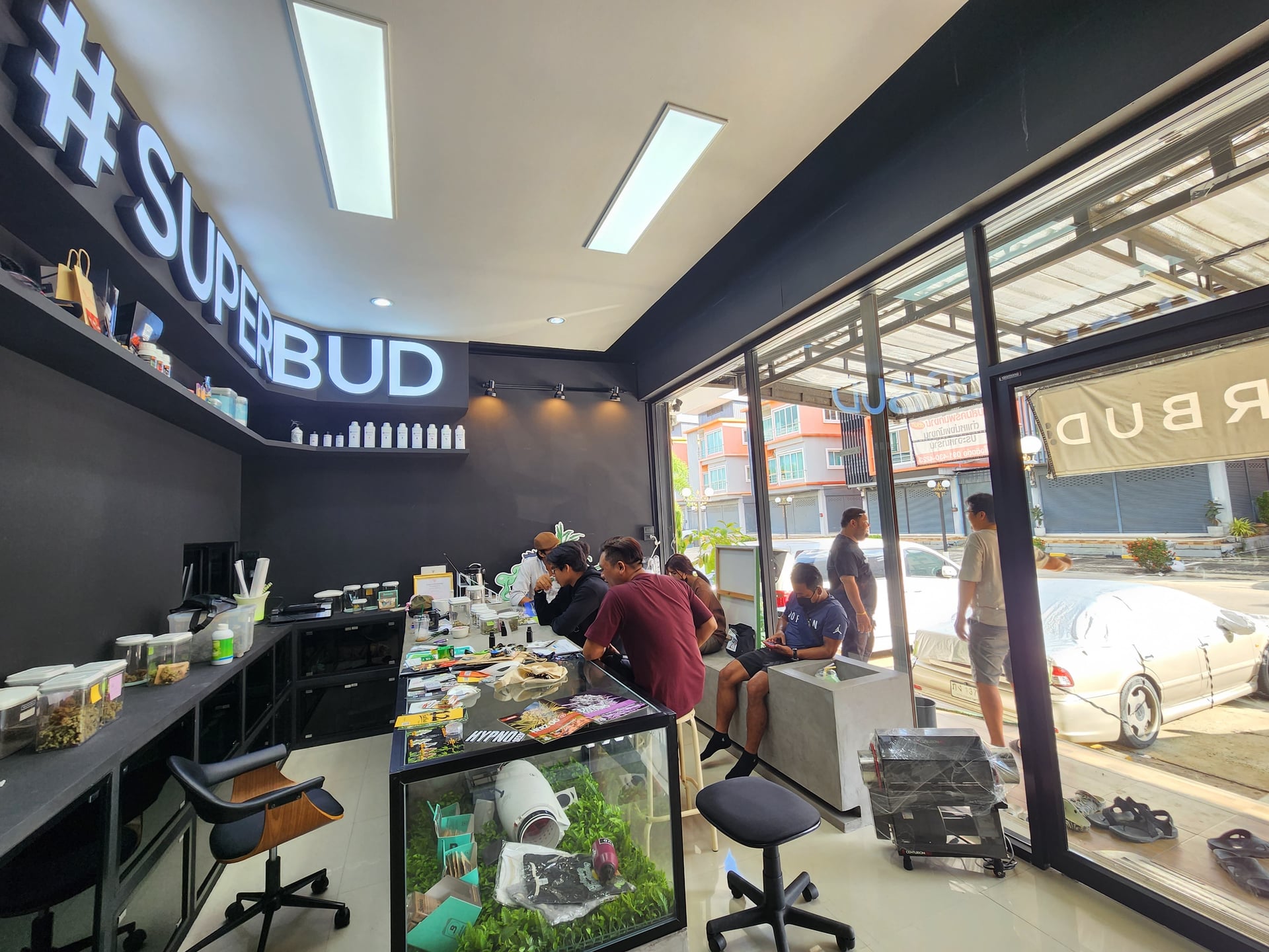 Superbud