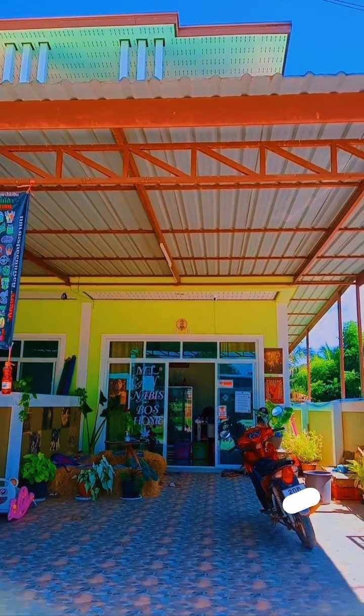 M L Cannabis Bos Home