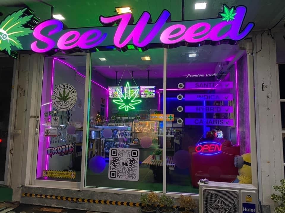 See Weed