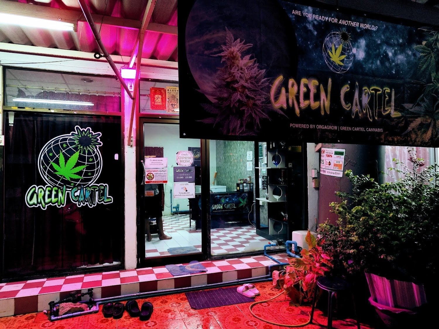 Green Cartel Cannabis Thanya Khlong3