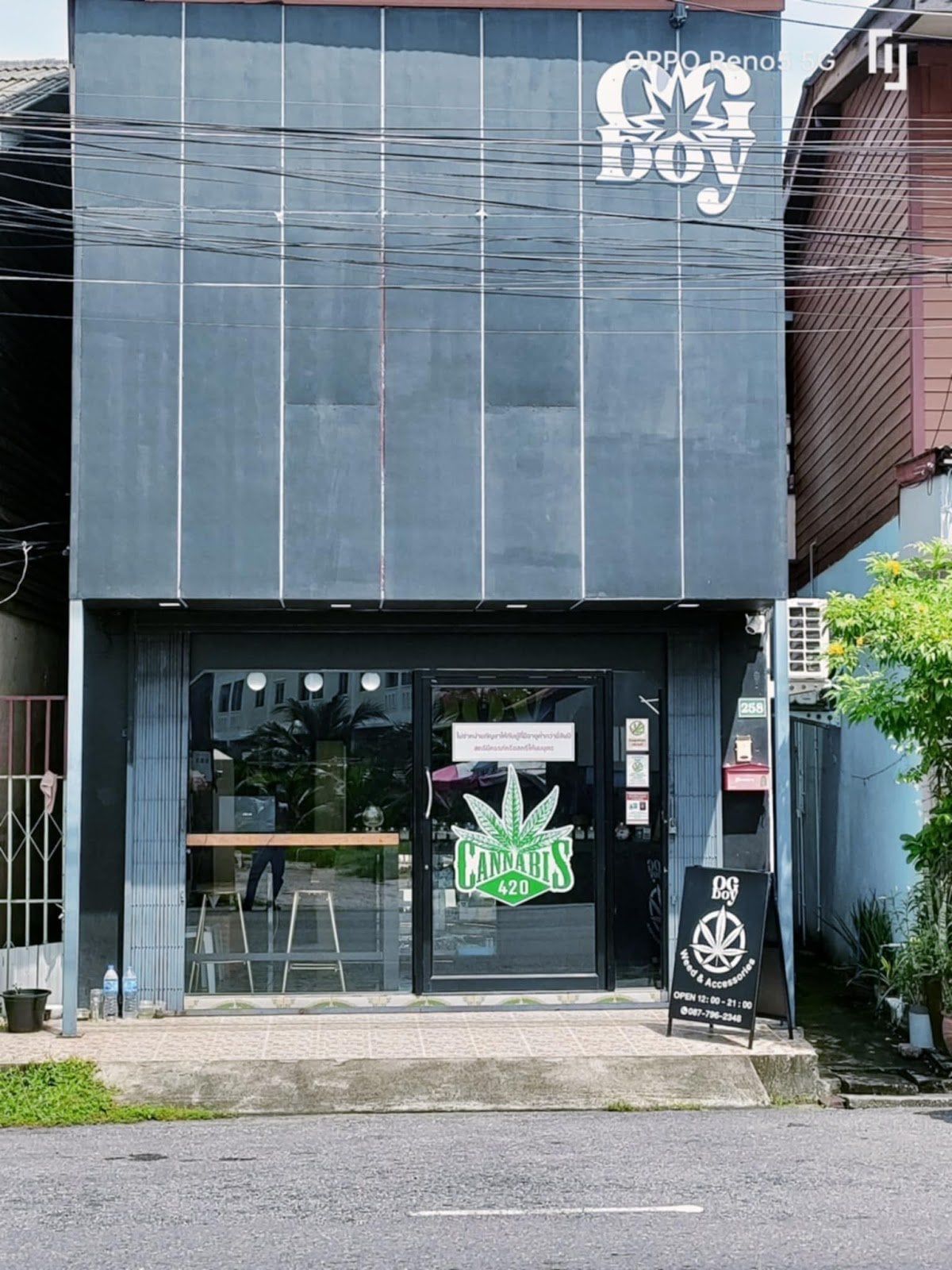 Ogboy Songkhla Bo Yang