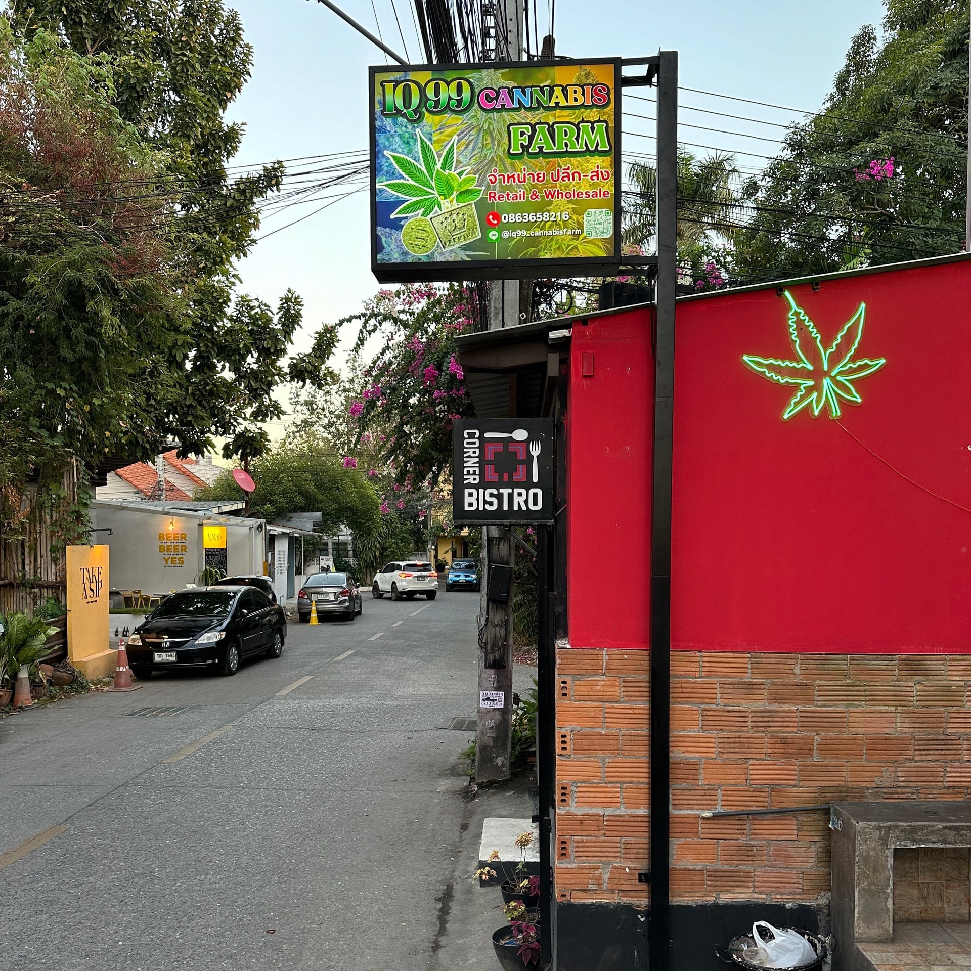 iQ99 Cannabis Farm