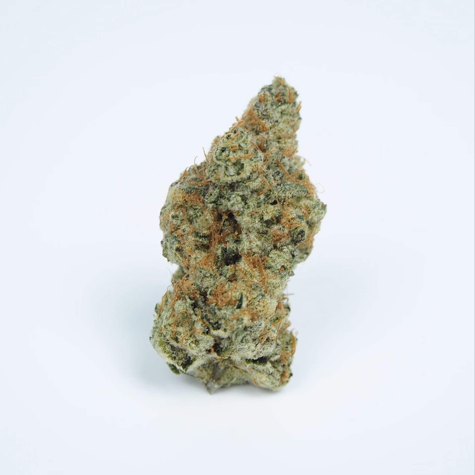 Chiang Mai的大麻社交俱乐部 Green Machine CNX 标志