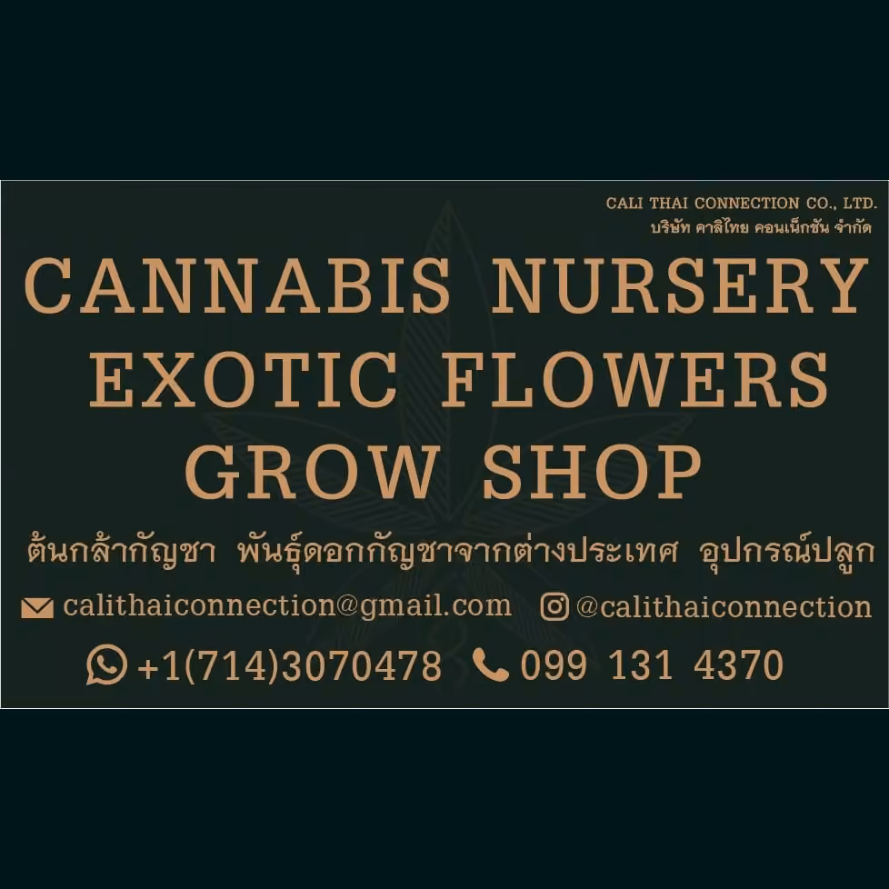Phuket – Cannabis Social Club CaliThaiConnection logó