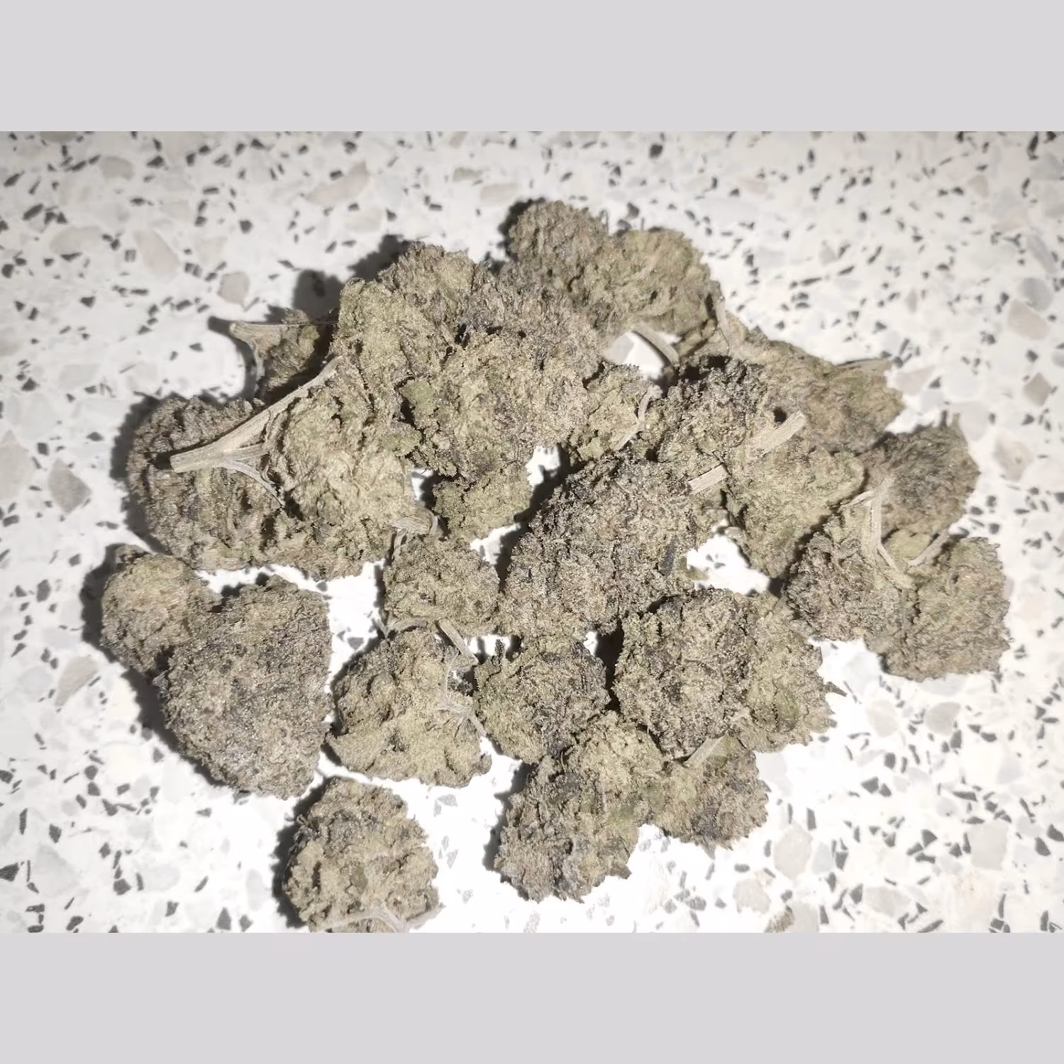 대마 소셜 클럽 Evergreen Zone Medical Flowers 로고