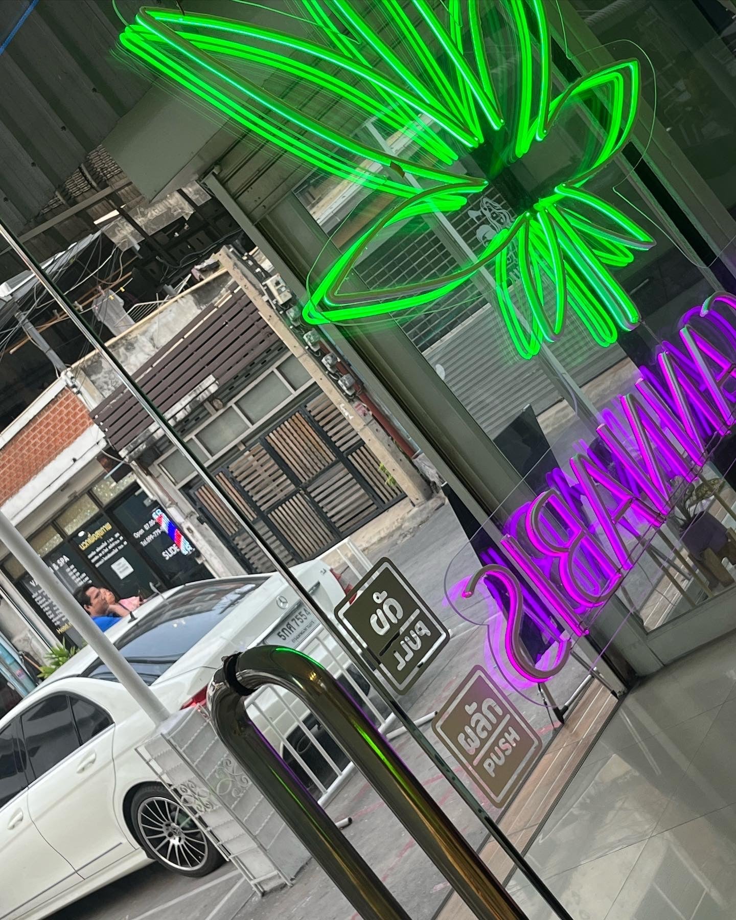 Want Weed Wow Cannabis