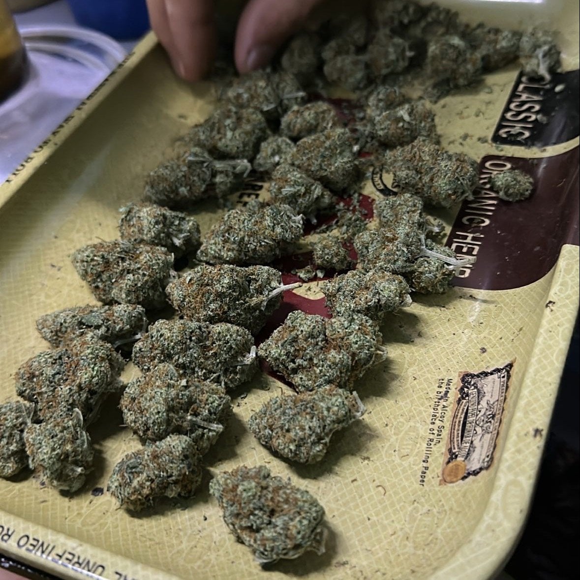 TZ Chronic