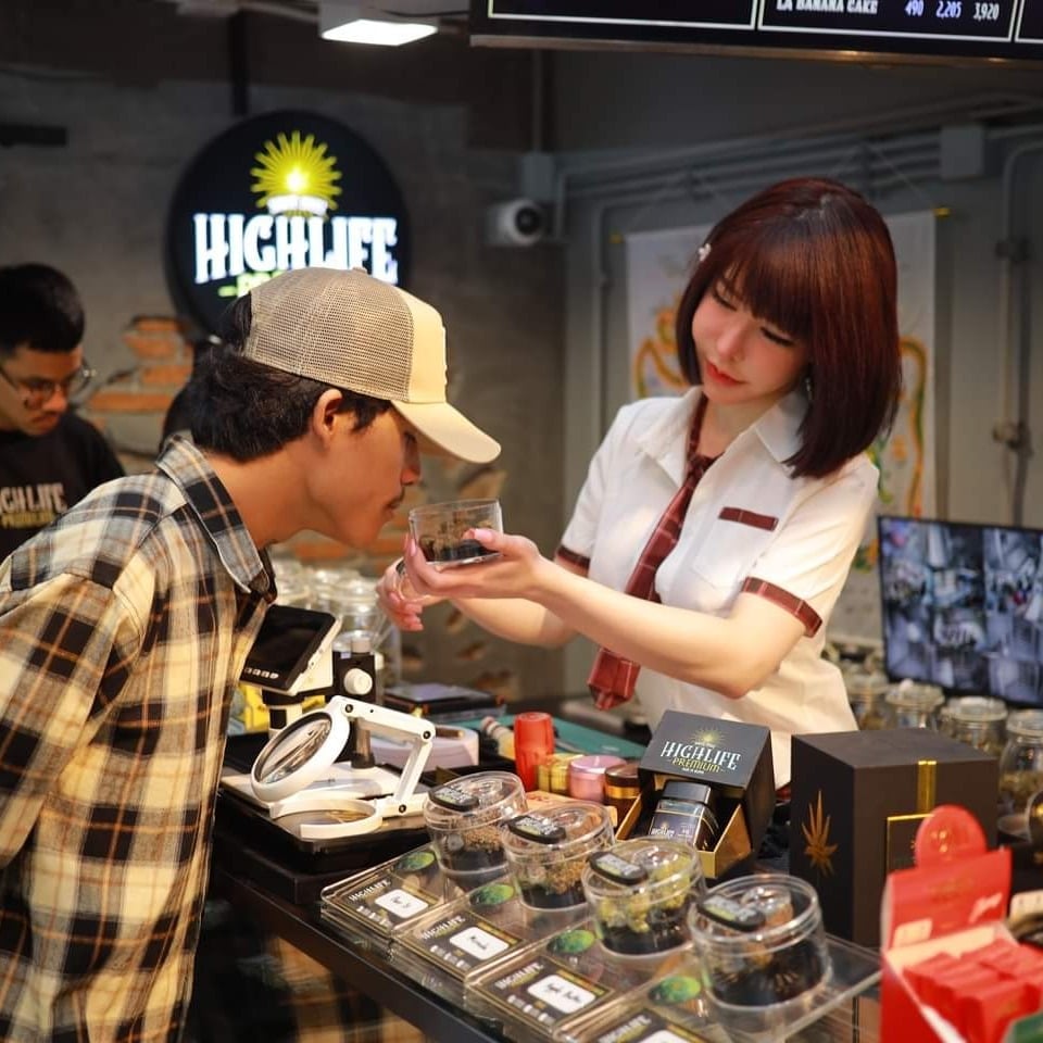 High Life Premium