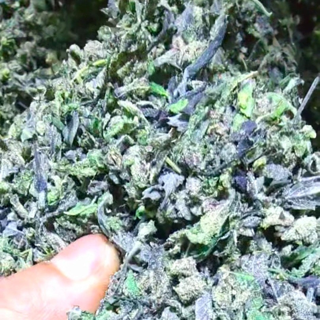 Thungsong Cannabis