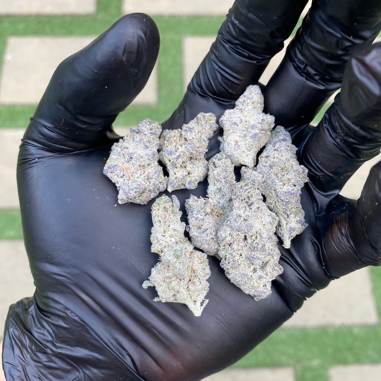 Mary Jane Labs