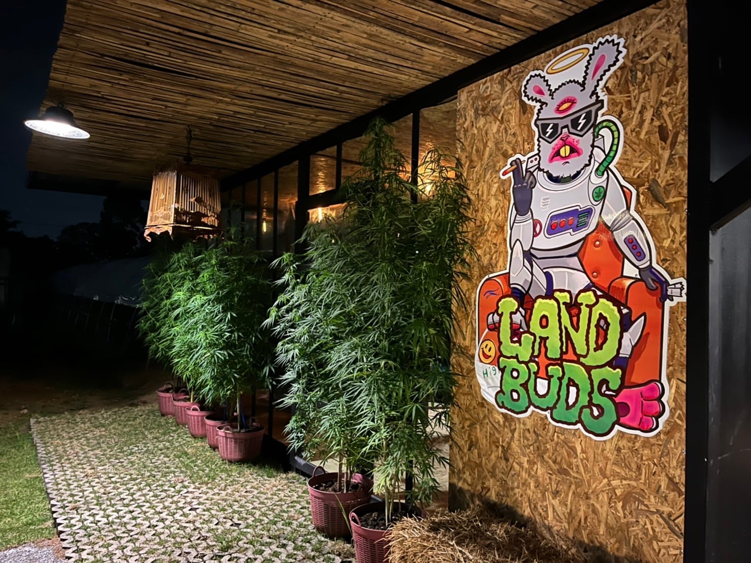 LandBuds