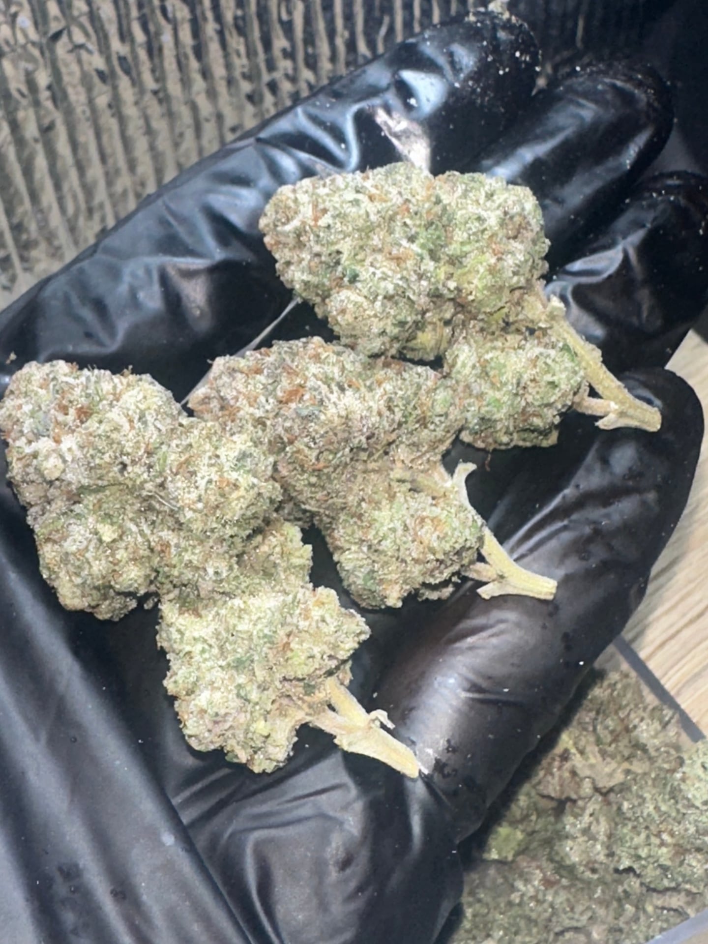 Budshash
