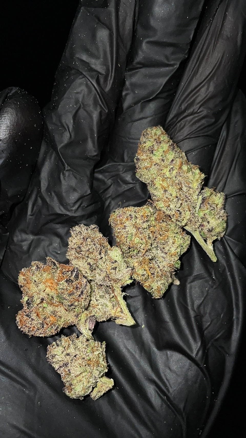 Ganja Hut